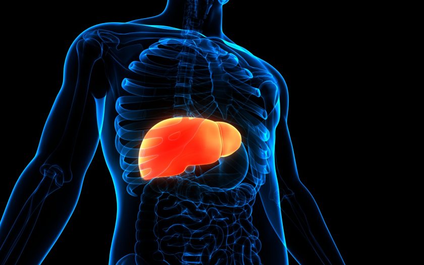 liver