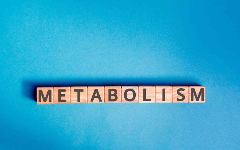 metabolism