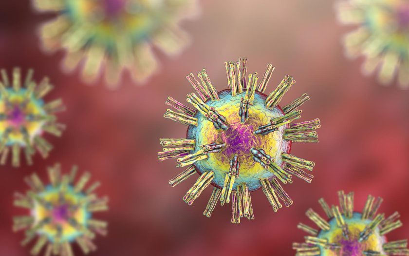 herpes virus