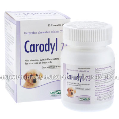 Carodyl (Carprofen)