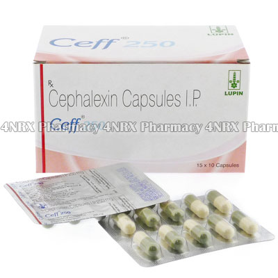 Ceff (Cephalexin Monohydrate)