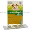 Advantage for Puppies and Small Dogs (Imidacloprid) - 100g/L (4 x 0.4mL)